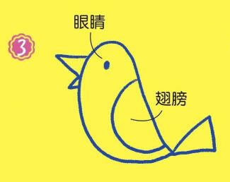 在樹上的鳥兒簡筆畫畫法步驟03