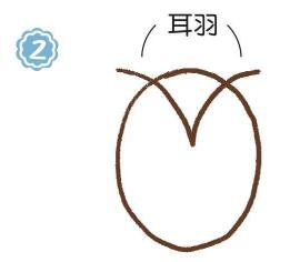 樹上的貓頭鷹簡筆畫畫法步驟02