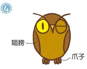 貓頭鷹簡筆畫