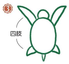 海里的海龜簡筆畫畫法步驟03