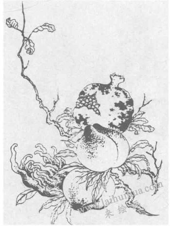 三多圖案