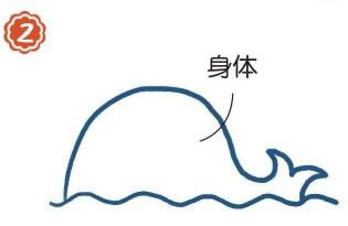 海面上的抹香鯨簡筆畫畫法步驟02