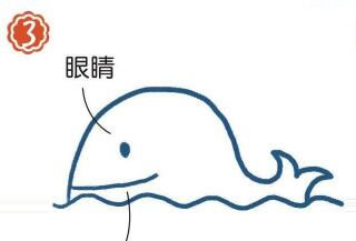 海面上的抹香鯨簡筆畫畫法步驟03