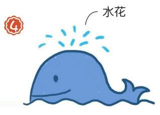 抹香鯨簡筆畫