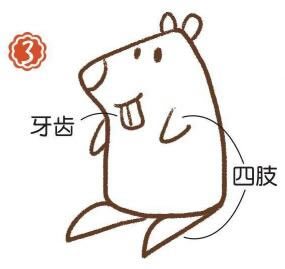 河邊的河貍簡筆畫畫法步驟03