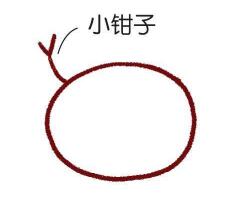 海邊的招潮蟹簡筆畫畫法步驟02