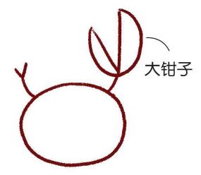 海邊的招潮蟹簡筆畫畫法步驟03