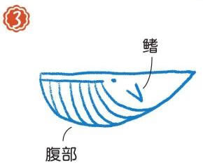 在海里的須鯨簡(jiǎn)筆畫(huà)畫(huà)法步驟03