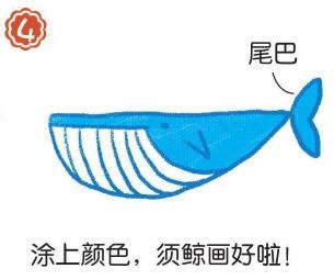 須鯨簡(jiǎn)筆畫(huà)