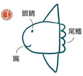 海里的翻車魚簡筆畫畫法步驟03