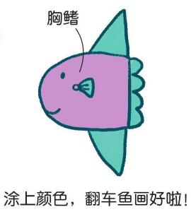 翻車魚簡筆畫