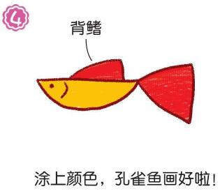 孔雀魚簡(jiǎn)筆畫
