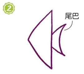 魚缸里的燕魚簡筆畫畫法步驟02