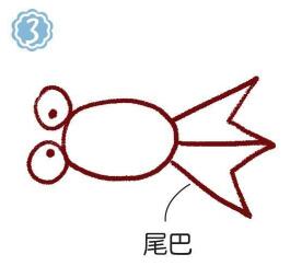 魚缸里的金魚簡筆畫畫法步驟03