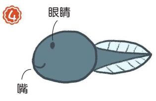 蝌蚪簡筆畫