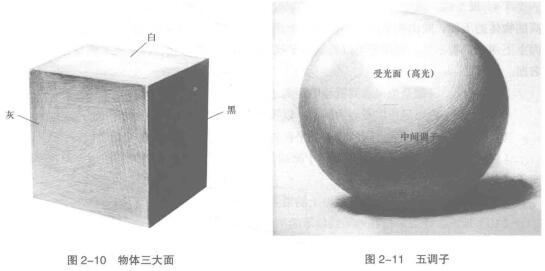 物體三大面，五調(diào)子