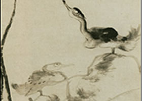 清代朱耷《荷花水鳥圖》欣賞