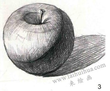 青蘋果素描作畫步驟03