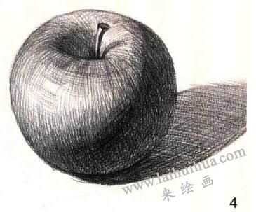 青蘋果素描作畫步驟04
