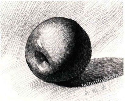 紅蘋(píng)果素描作畫(huà)步驟04