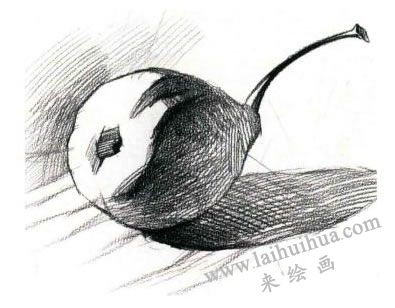 梨的素描畫法步驟03