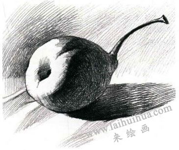 梨的素描畫法步驟04