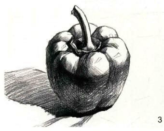 菜椒的素描畫法步驟03