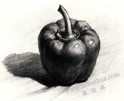 菜椒的素描畫法