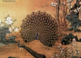 郎世寧《孔雀開屏圖》