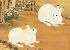 冷枚《梧桐雙兔圖》