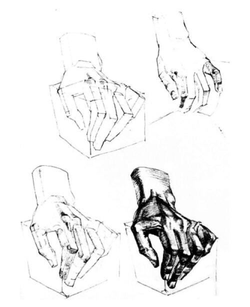 素描手部塑造刻畫(huà)方法