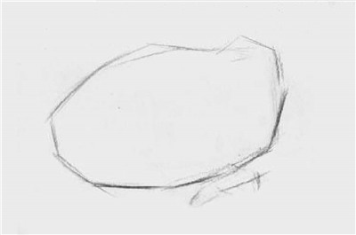 大白菜素描畫法步驟01