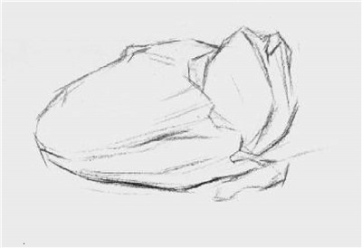 大白菜素描畫法步驟02