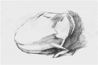 大白菜素描畫法步驟03