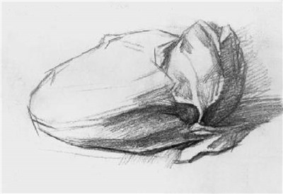 大白菜素描畫法步驟04