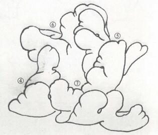 牡丹花白描步驟02