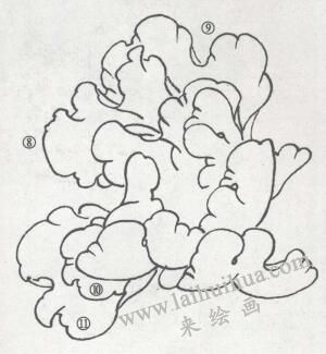 牡丹花白描步驟03