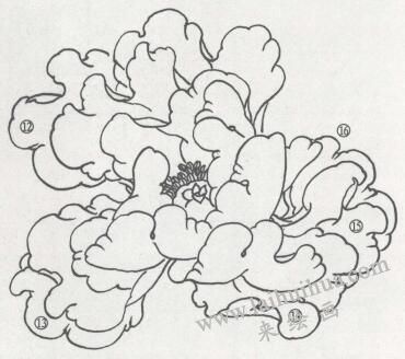 牡丹花白描步驟04