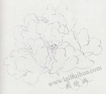 國畫白牡丹花畫法步驟01