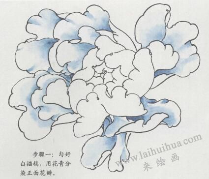 國(guó)畫紫牡丹花畫法步驟01
