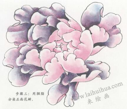 國(guó)畫紫牡丹花畫法步驟03