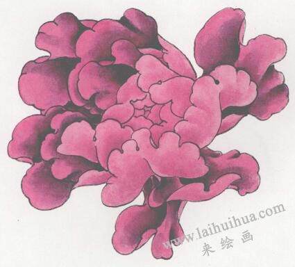 國(guó)畫紫牡丹花畫法