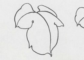 國畫牡丹葉白描造型