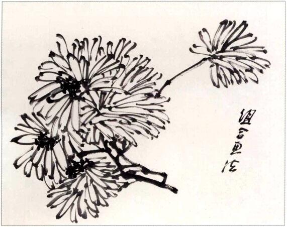 國(guó)畫組合菊花花頭畫法