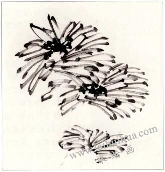 國畫菊花《凝香》創(chuàng)作步驟01