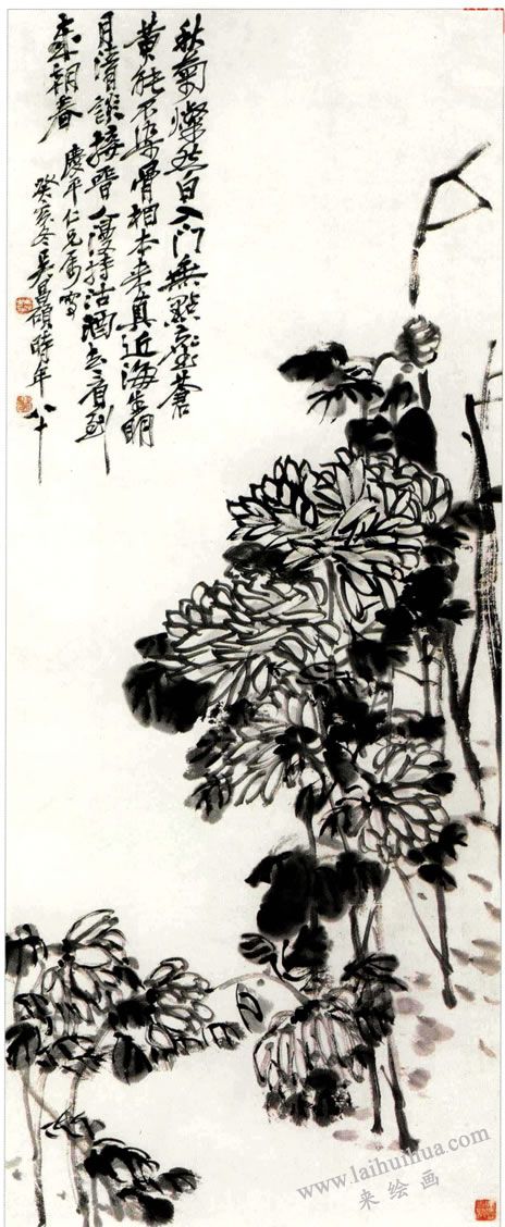 《墨菊》，吳昌碩