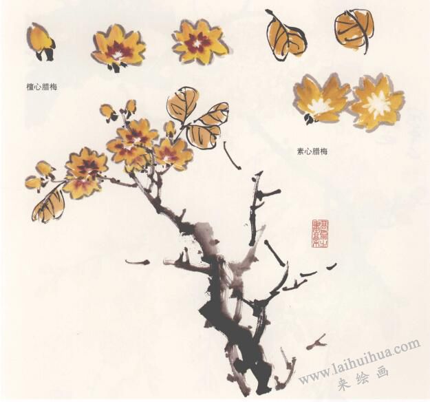 國畫臘梅的畫法