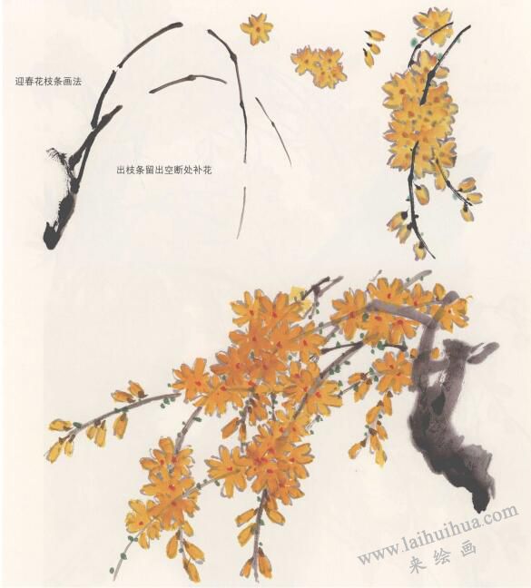 國(guó)畫迎春花的畫法