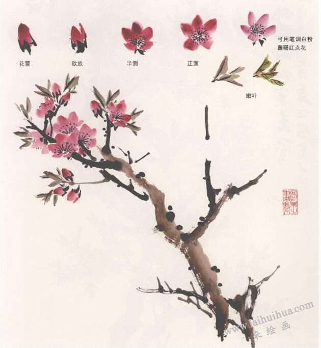 國(guó)畫(huà)桃花的畫(huà)法