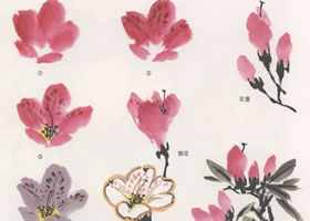 國畫杜鵑花的畫法